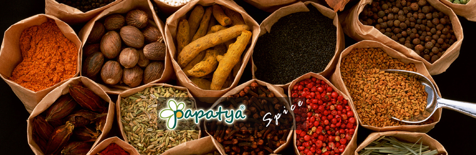 Papatya Spice | Turkey Spice | international Spice | Papatya Baharat